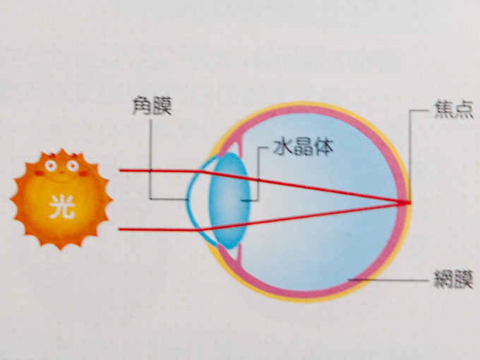 お客様のメガネのご紹介 視力はいいけれど実は目に負担がかかっている遠視① | 滋賀県 大津の眼鏡・補聴器専門店 メガネのイマホリ